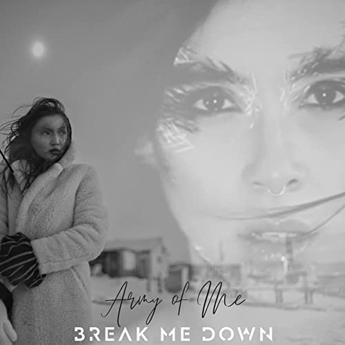 Break Me Down : Army of Me